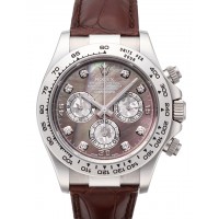 Rolex Cosmograph Daytona Watches Ref.116519-13
